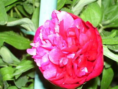 Bild 032.jpg