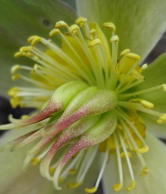 20100410_0001_7.JPG