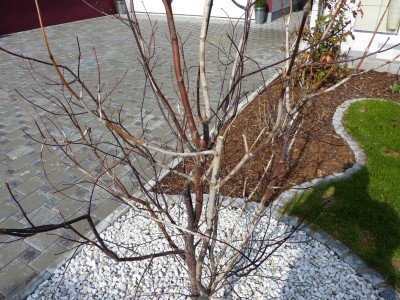 P1040300.jpg