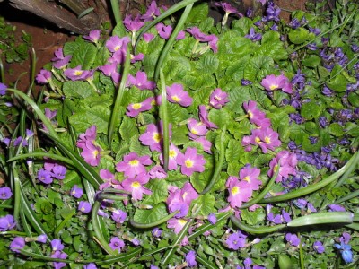 SDC12918_Bildgröße ändern.JPG