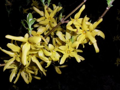 SDC12948_Bildgröße ändern.JPG