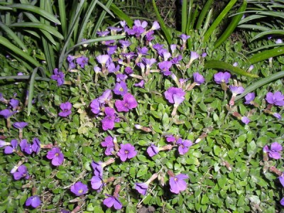 SDC12915_Bildgröße ändern.JPG