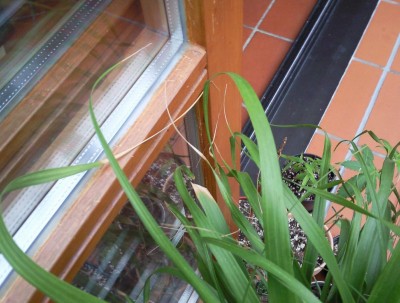 Foto0711.jpg