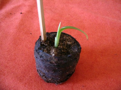 Bild 897.jpg