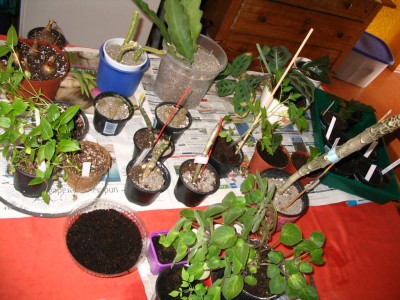 Bild 895.jpg