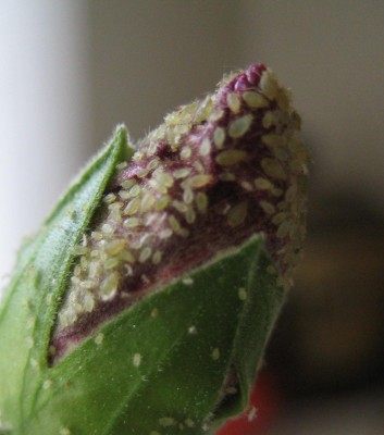 20100415_0001_3.JPG
