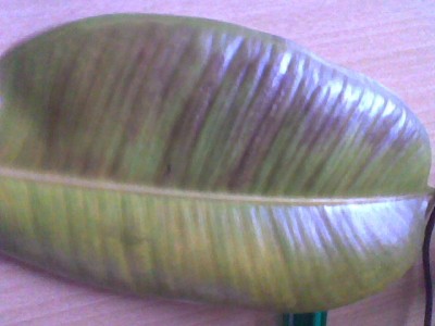 Imagen002.jpg