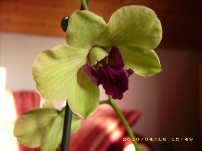 DSCI0034.JPG