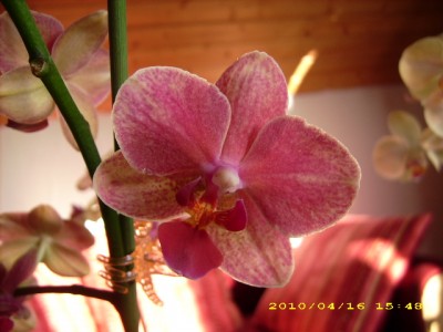 DSCI0032.JPG