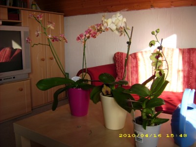 DSCI0031.JPG