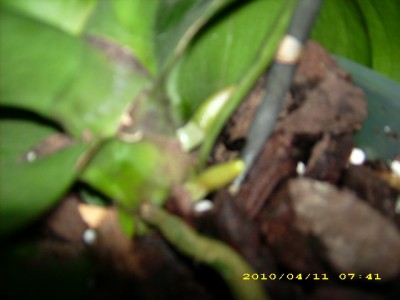 DSCI0021.JPG