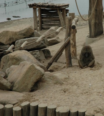 DSC_162400840.JPG