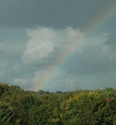 DSC_121000530.JPG