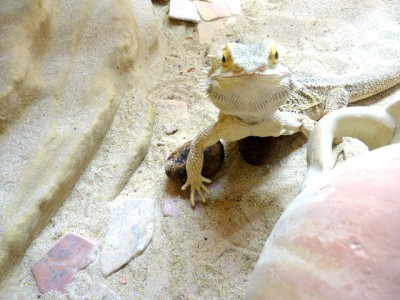 P1000350.JPG
