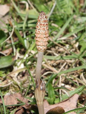 april2010-02.jpg