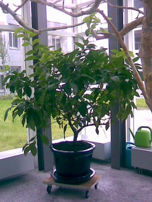 Bild038.jpg