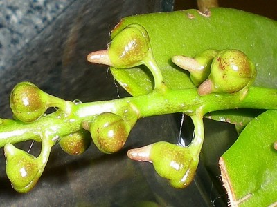 RSCN67330001.JPG