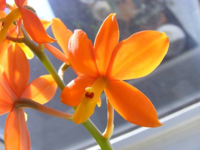 DSCF7525.JPG