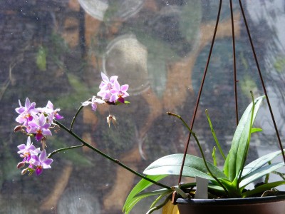 DSCF7528.JPG