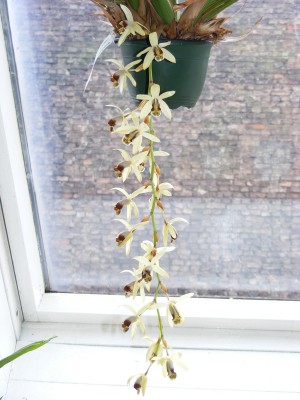 DSCF7517.JPG