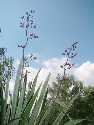 12.06.2008 (149)-1.jpg