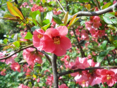 IMGP1375-kleiner.jpg