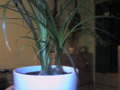 phot-0017.jpg