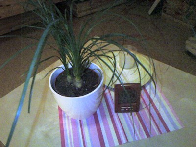 phot-0016.jpg