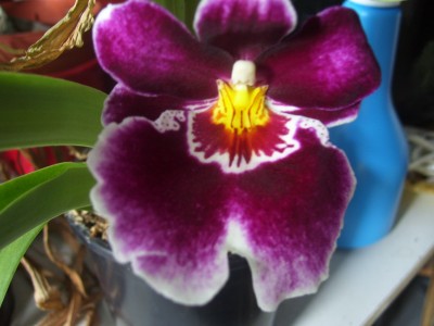 schööööön 036.jpg