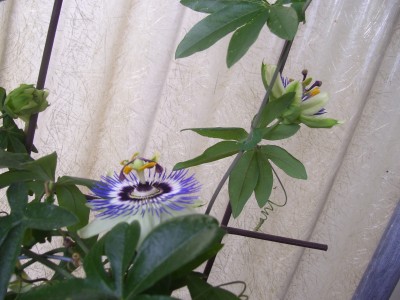 schööööön 035.jpg