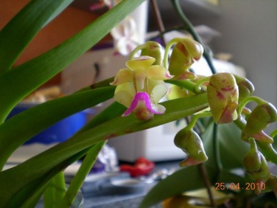 DSCN69130001.JPG