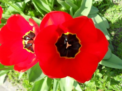 SDC13082_Bildgröße ändern.JPG