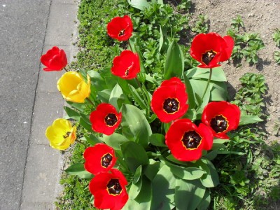 SDC13080_Bildgröße ändern.JPG