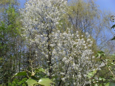 SDC13081_Bildgröße ändern.JPG