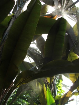 DSCF2486.jpg