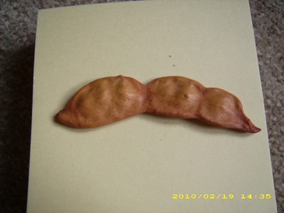 DSCI0009.JPG