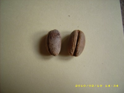 DSCI0006.JPG