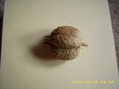 DSCI0004.JPG