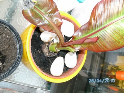 PICT0315.JPG
