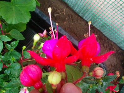 100D8528.JPG