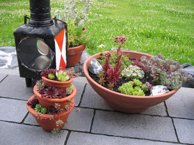 Garten 009.jpg