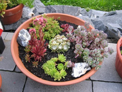 Garten 007.jpg