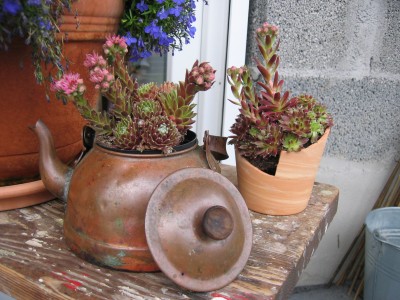 Garten 001.jpg