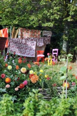 Dahlien und Gladiolen Sommerblüher Blumenzwiebeln · Garten & Pflanzen