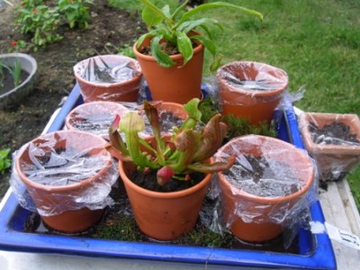 PICT0111.JPG