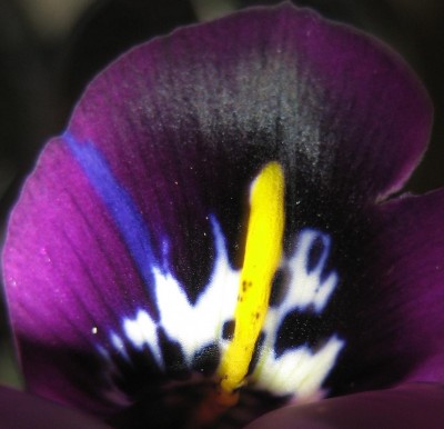 20100312_0001_3.JPG
