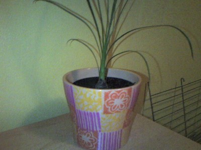 phot-0019.jpg