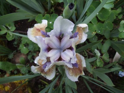 DSCF6291.JPG