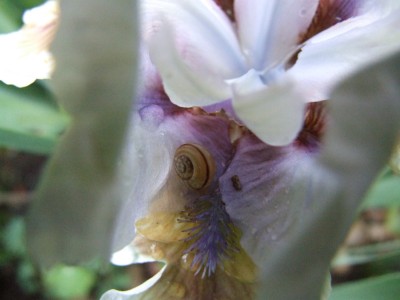 DSCF6289.JPG