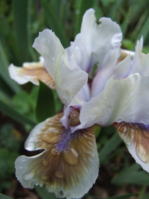 DSCF6285.JPG